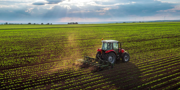 imagem_2023-01-30_154040955