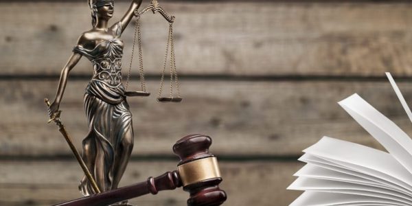 ramos-do-direito-publico-scaled